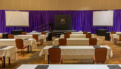 Purple Event Drape-12'-Tall